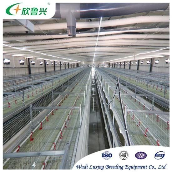 Complete Automatic Layer Egg Chicken Cage Poultry Farm House Design Equipment for Coop ...