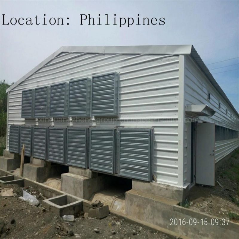 Broilersprofessionally Designed High Yield Steel Structure Chicken House