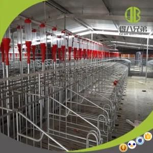 Sow Gestation Stalls Cage Crate for Sale