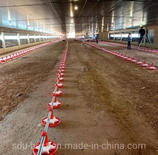 Poultry Farms with Nipple Drinking Line and Pan Feeding Line