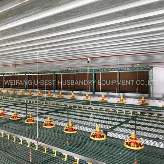 CE Approved Poultry Farm House Feeder for Chicken