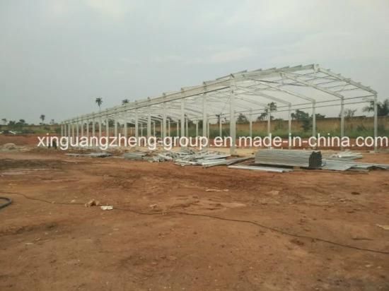 Survival Rate 98% Philippine Broiler Prefab Steel Structure House with Factory Price