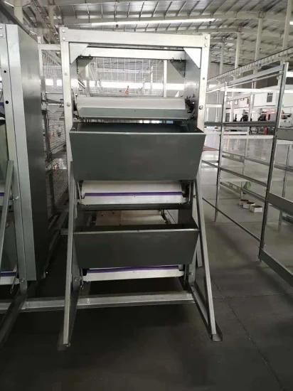 Open House Battery Cage System for Broiler/Chicken Layer/Egg Chicken