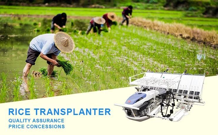 China Manual 4/6 Row Rice Planter Tansplanter with High Quality Engine