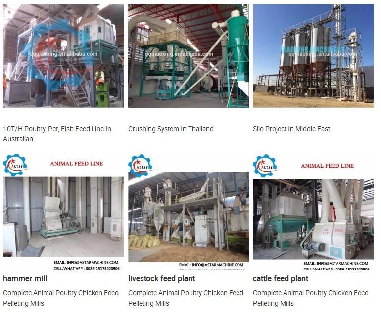 Cereal Grains Corn Wheat Powder Millet Meal Soybean Feed Mill