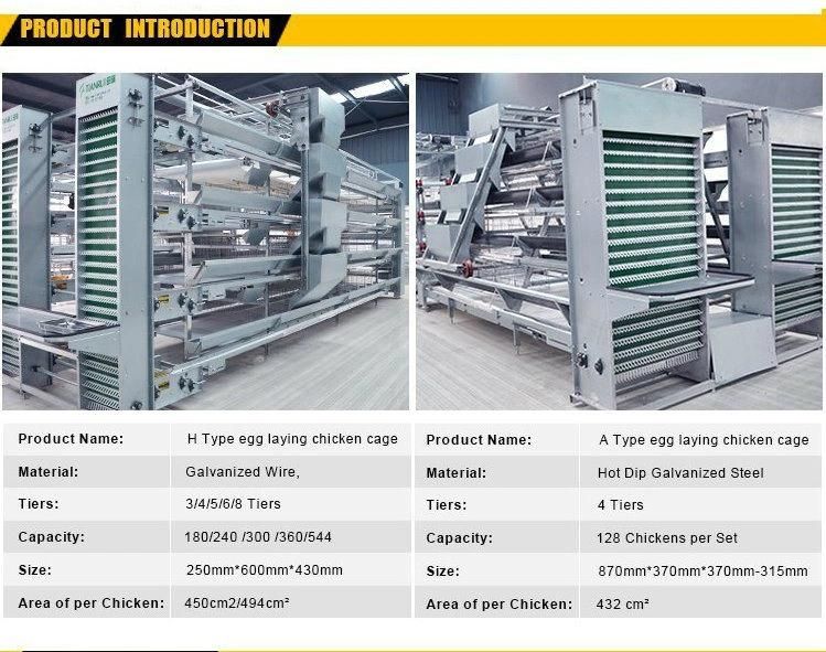 Poultry Farm Equipment for Layer Chciken / Poultry Farm Chicken Cages