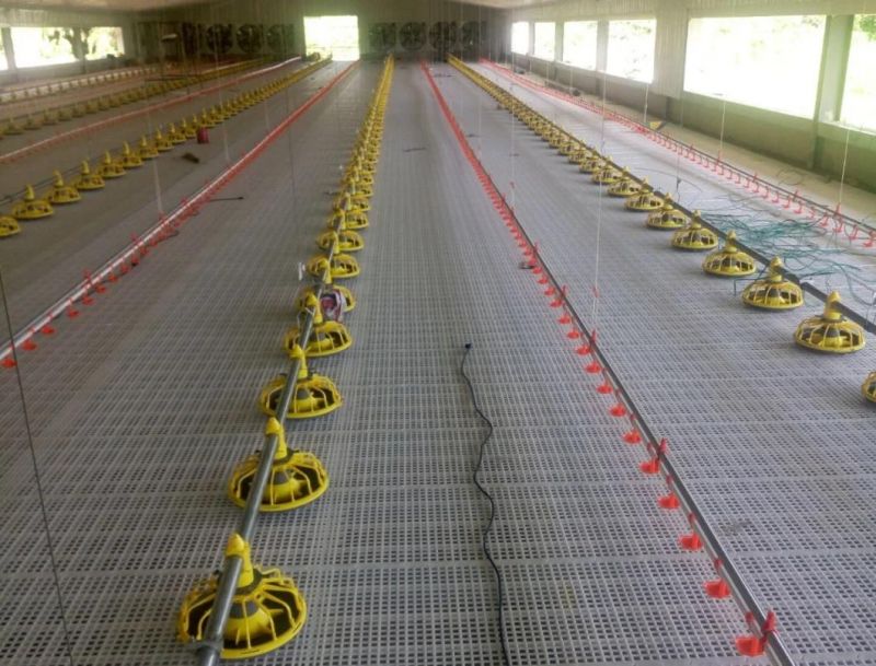 Automatic Duck Goose Feeding System Plastic Slat Floor Poultry Slat Floor