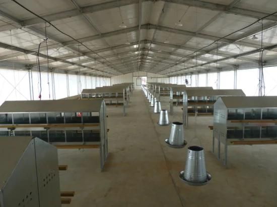 Steel Structure Poultry House/Chicken Farm/Brolier House/Breeder House