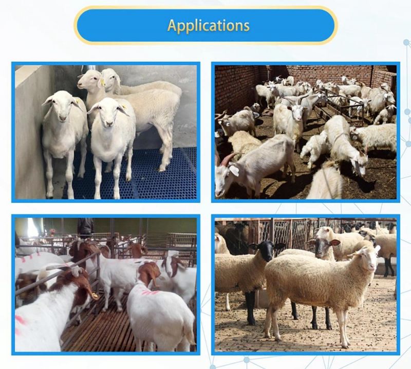Made in China Farm Breeding Equipment Hot DIP Galvanized Cattle/Horse/Sheep Fence Animal Husbandry Equipment