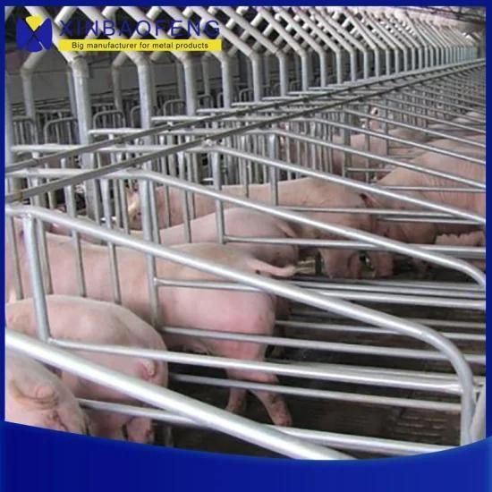 Hot DIP Galvanized Farrowing Crates Pig Stalls