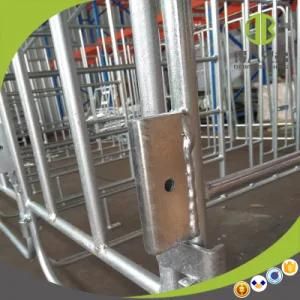 Wholesale Made in China Durable Hot DIP Galvanized Pig Stall