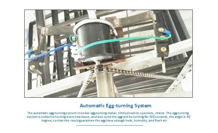 Multi-Stage Automatic Poultry Chicken Quail 12000 Egg Incubator Hatcher