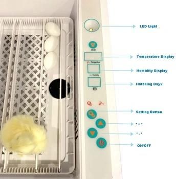 Hhd Mini Full Automatic Chicken Egg Incubator Commercial Hatching Machine Incubator Yz-36