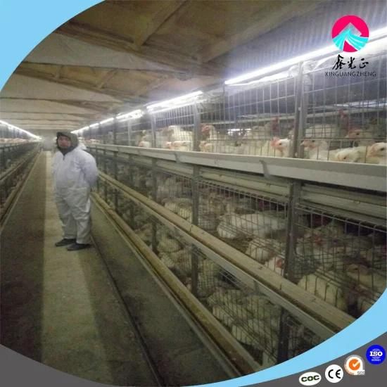 Automated Broiler Cage Equipment Produced by Xgz Group