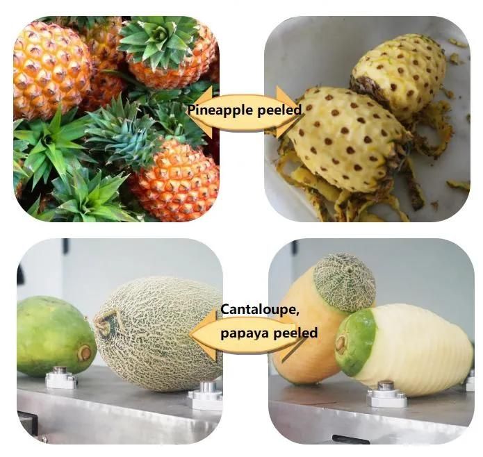 Stainless Steel Vegetable Fruit Automatic Peeling Machine Small Electric Pineapple Peeling Machine Suitable for Grapefruit