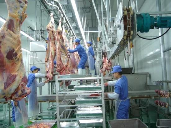 Cow Slaughterhouse Made Inchina