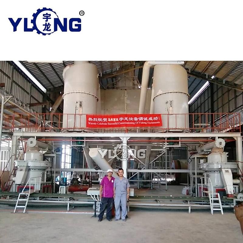 1 Ton/Hour CE Approved Palm Pellet Mill