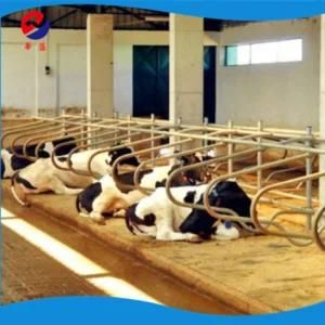 Cattle Cubicles Separate Free Cow Stalls for Livestock Free Sample