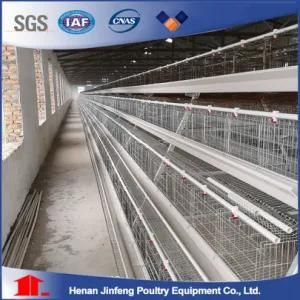 Automatic Layer Cage System/Chicken Cage/Livestock Machinery Hot Galvanized