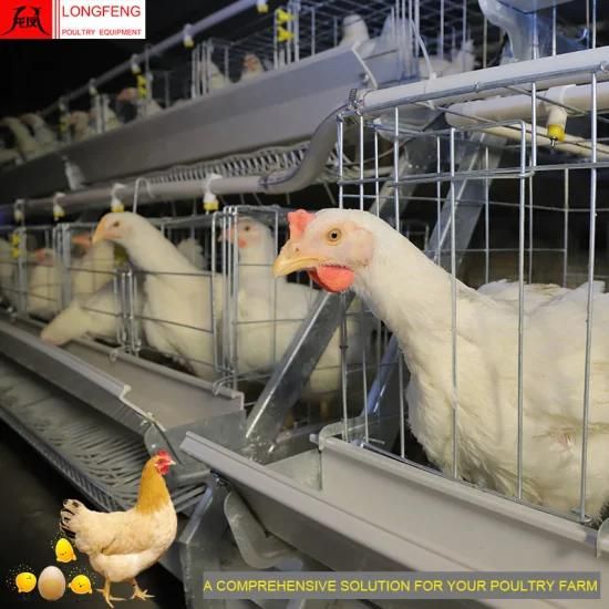 Longfeng Large Scale Poultry Farming Good Service Chicken Farm Equipment with Factory ...