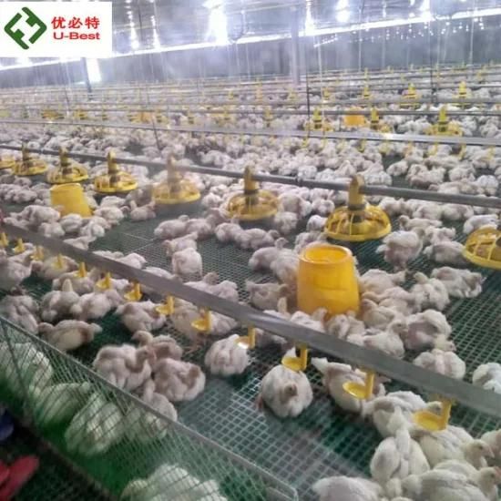 Full Automatic Poultry Farm Equipment for Chicken House Broiler Shed Breeder Livestock