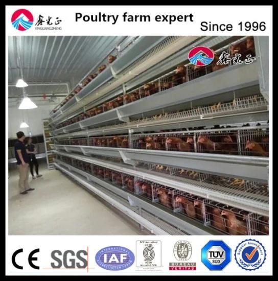 Chicken Egg Laying Equipment/Chicken Egg Layer Cages