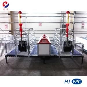 Hot Sale Twin Farrowing Crate for Pig Farms-Galvanized Zinc Coating 80um