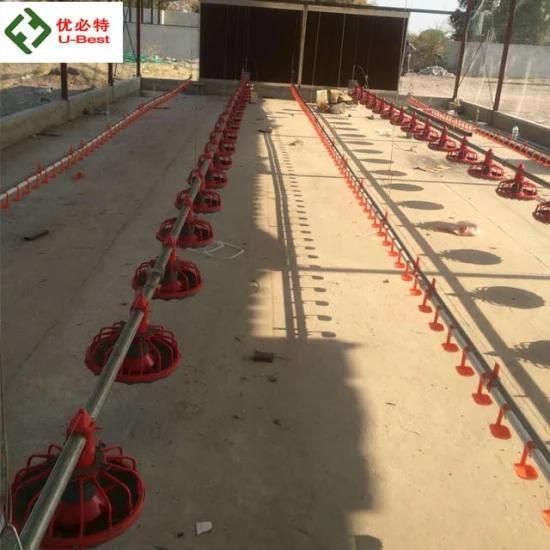 Poultry Farm Chicken Feeding Application and Raising Chicken Usage Poultry Equipment