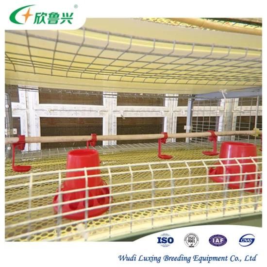 3 Tiers Automatic Breeding Chicken Cage System Boiler Cages for Poultry Farm