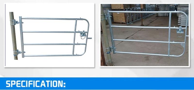 Hot Sale High-Strength SGS Certified Hot-DIP Galvanized Steel Pipe Cattle Farm Fence