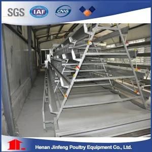 a Type Poultry Chicken Equipment Farme Cage for Farm Use