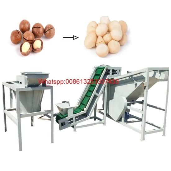 Full Automatic Gas Roasted Seeds and Pistachio Nuts Hazelnut Processing Manufacturers ...