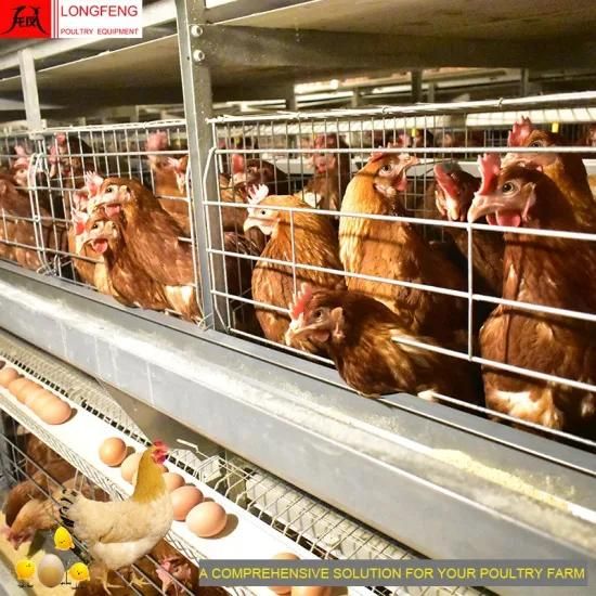 Hot Sale Electric Hot Galvanized Poultry Farm Chicken Cage Valid for 15-20 Years