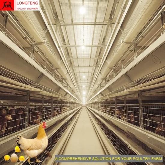 Hot Sale Low Egg Broken Rate Electric Automatic Poultry Chicken Cages