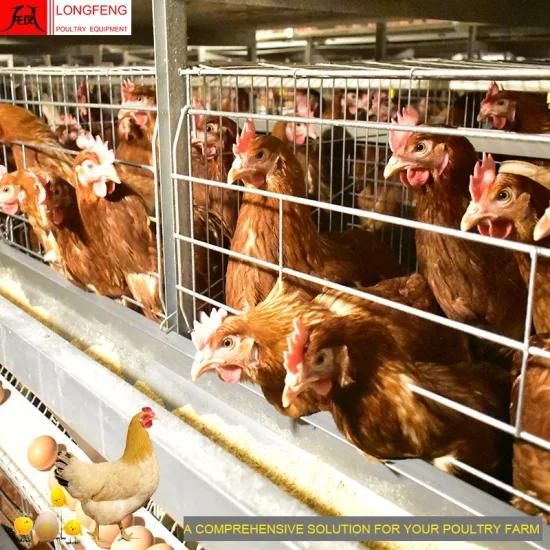 High Quality Poultry Chicken Equipment 96 Birds-384 Birds Per Set, 3-12 Tires