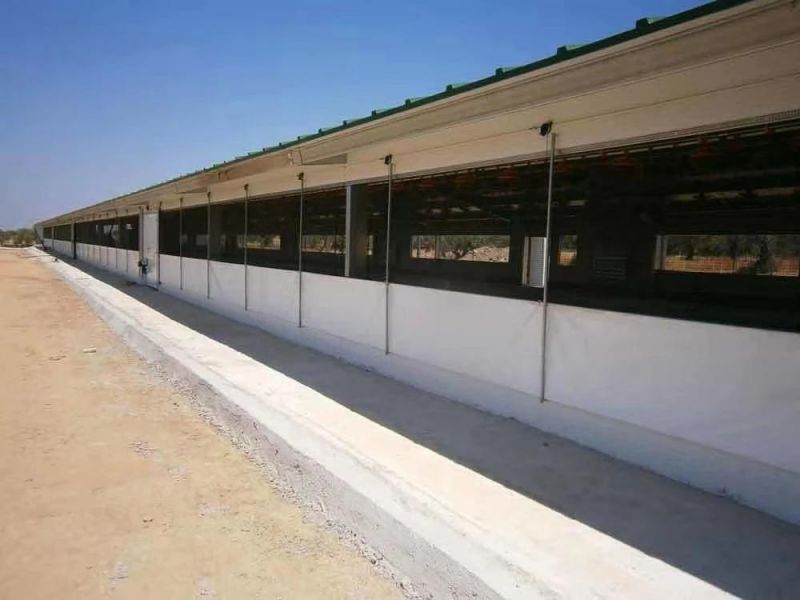 Pig Steel House with Complete Raising Equipment