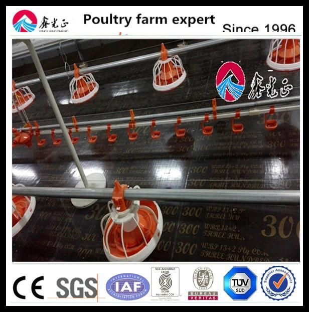2018 Broiler Equipment Poultry Farm House Free Design Broiler Chicks Rate for Sale