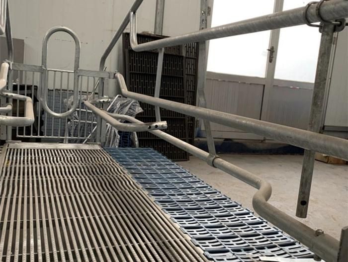 Hot DIP Galvanized Treatment Pig Farrowing Crate with Slat Flooring