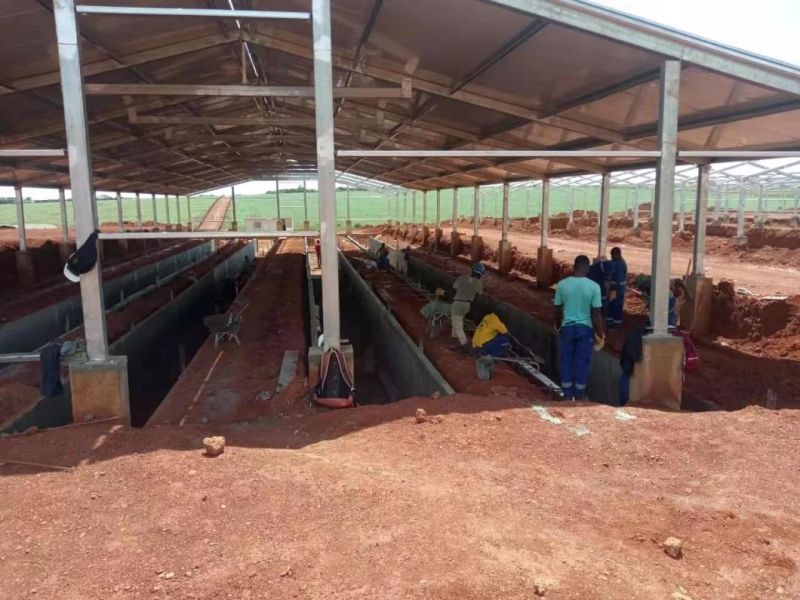 Pig Farm Turnkey Project Design and Equipment