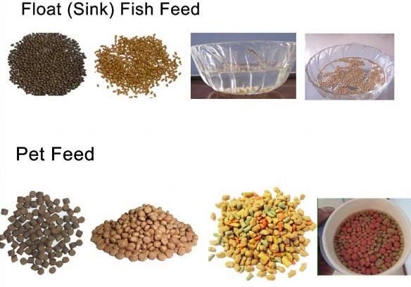 Floating Fish Food Extrusion Animal Feed Feed Extruded Machine
