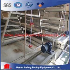 Automatic Poultry Farm Equipment Chicken House