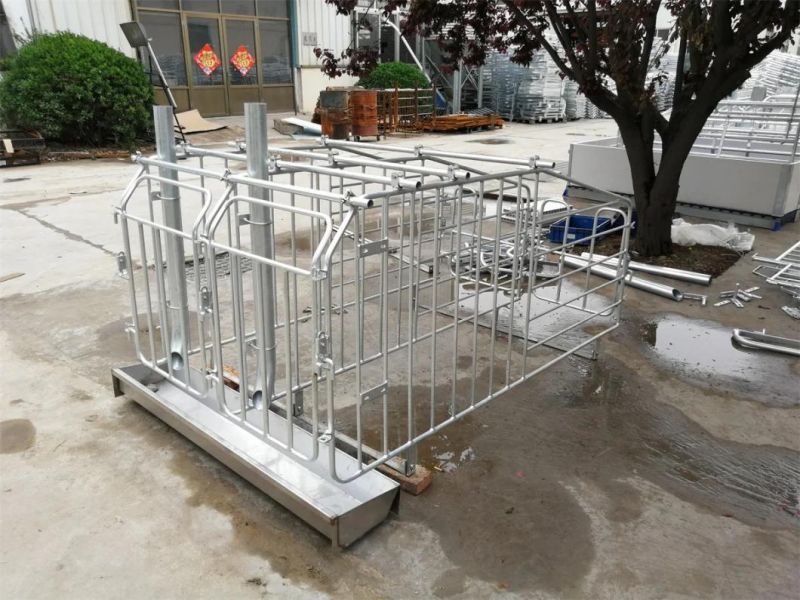 Pig Farm Machinery Galvanized Pig Gestation Crate for Sale