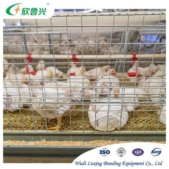 Automatic Chicken Nipple Drinker Poultry Water Drinking Supply Line for Farm Equipment