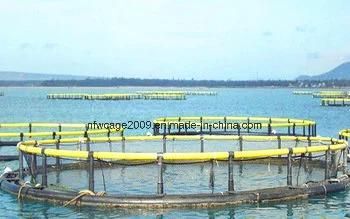 HDPE Ocean Aquaculture Farm Floating Fish Cage