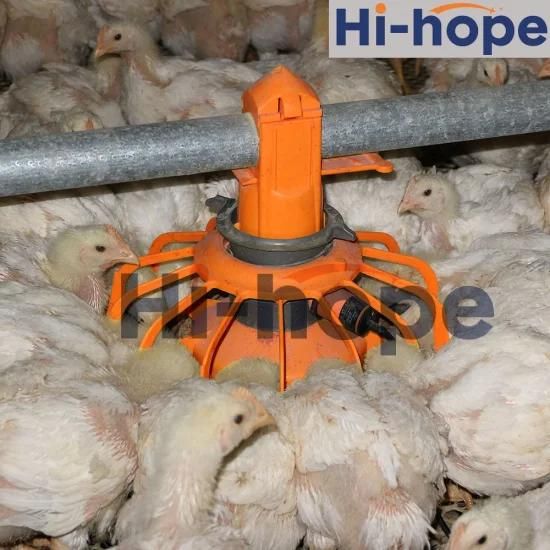 Chicken Poultry Farm Equipment Broiler Pan Feeder Drinker