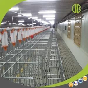 Gestation Stall Individual Cage Used in Modern Pig Farm for Sale
