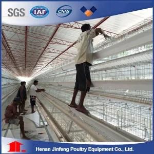 Automatic Ladder Type Egg Chicken Layer Cage for Sale