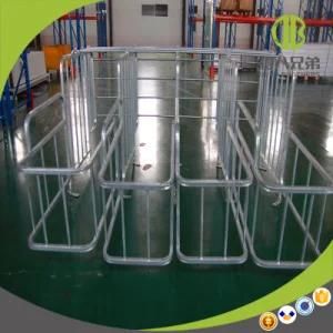 High Quality Durable Pig Gestation Crates / Individual Stalls Need Agent