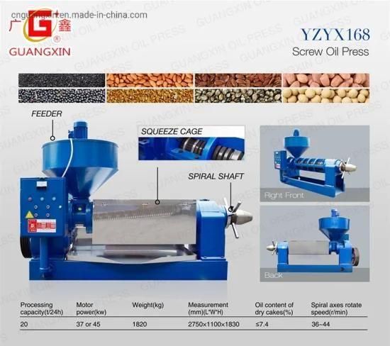 The Biggest Palm Kernel Oil Press Machine with 20 Tons Per Day Capacity Yzyx168