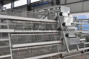 Poultry Bird Cages on Sell
